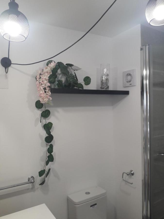 Apartamento Rex Benidorm Zewnętrze zdjęcie