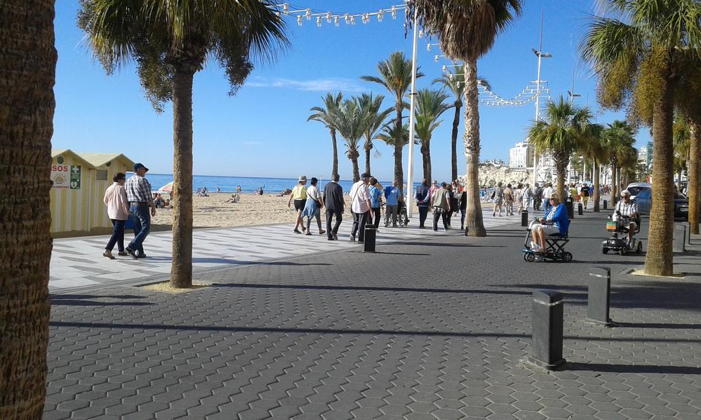Apartamento Rex Benidorm Zewnętrze zdjęcie