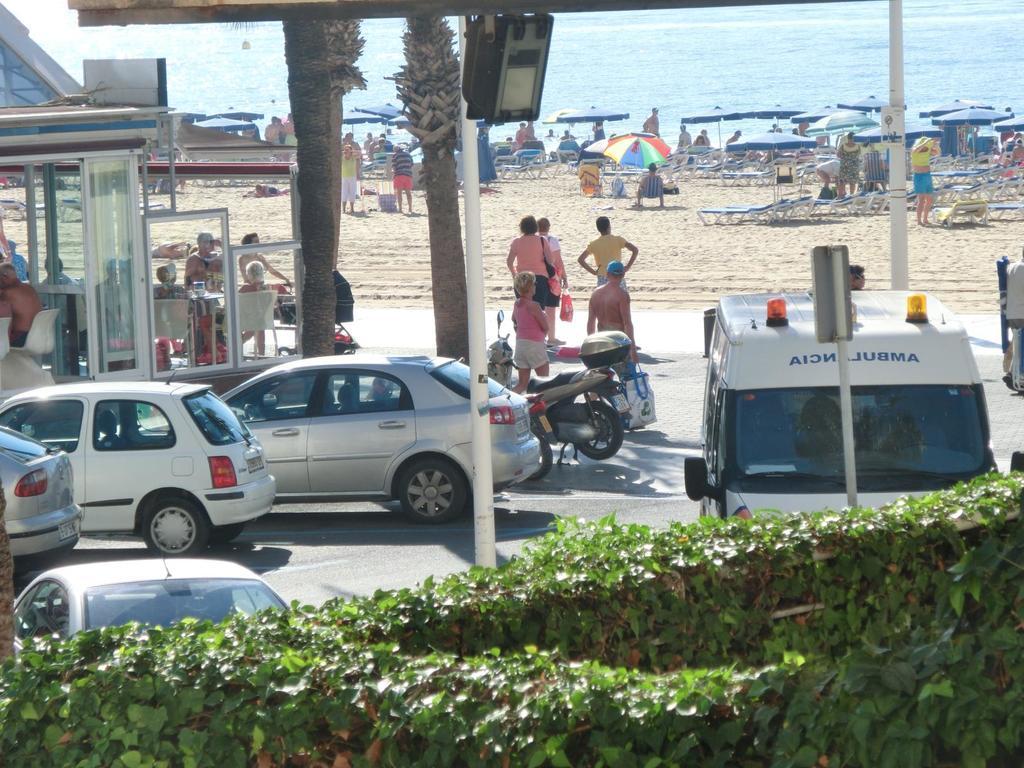 Apartamento Rex Benidorm Zewnętrze zdjęcie